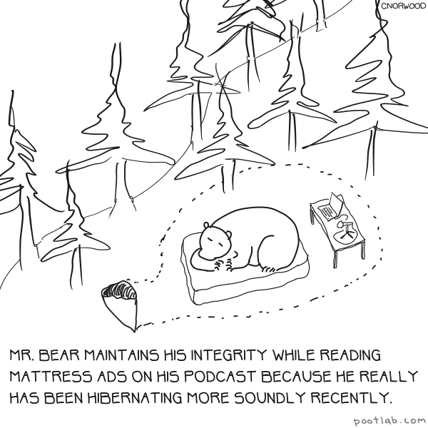 Bear Integrity